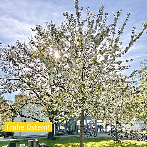 🐰Die Hochschule Hannover wünscht frohe Ostern! 🌼

Wir wünschen Dir ein paar ruhige Feiertage und – auch wenn Du kein...