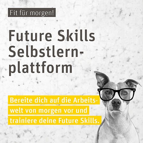 🚀 Ready für die Zukunft? Die Future Skills Selbstlernplattform für Studierende der HsH ist live! 

💻 Lerne flexibel,...
